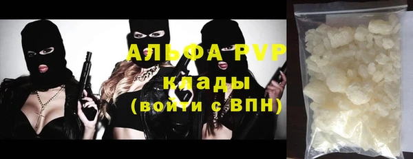 ПСИЛОЦИБИНОВЫЕ ГРИБЫ Магас