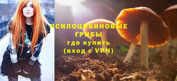 экстази Липки
