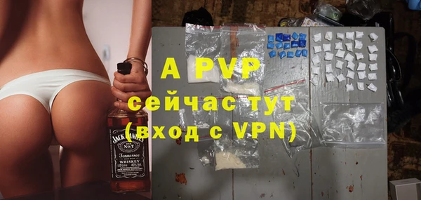 ПСИЛОЦИБИНОВЫЕ ГРИБЫ Магас