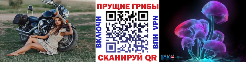даркнет сайт  Суровикино  Галлюциногенные грибы прущие грибы 