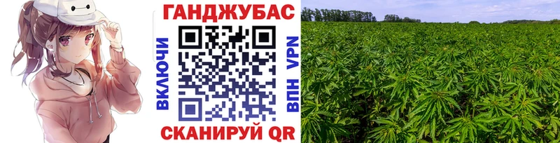 OMG ССЫЛКА  где купить наркоту  Суровикино  Каннабис Ganja 